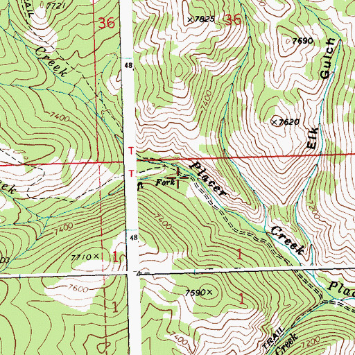 Topographic Map of Left Fork Placer Creek, ID