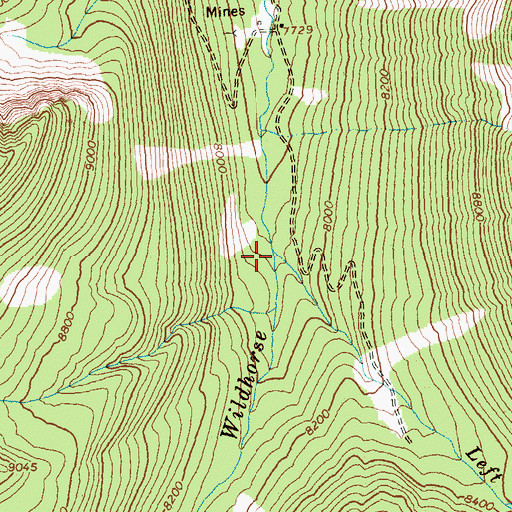 Topographic Map of Left Fork Wildhorse Creek, ID