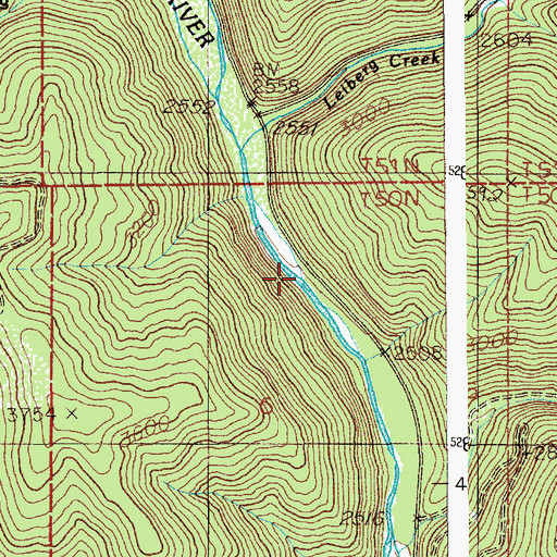 Topographic Map of Leiberg Creek, ID