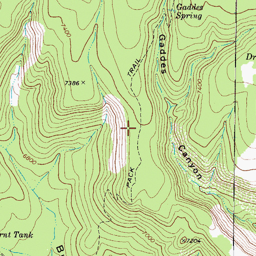 Topographic Map of Gaddes Canyon Trail, AZ