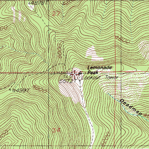 Topographic Map of Lemonade Peak, ID