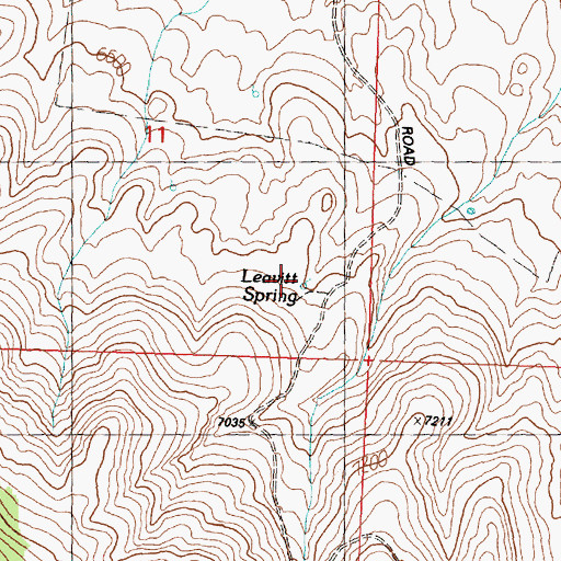 Topographic Map of Leavitt Spring, ID