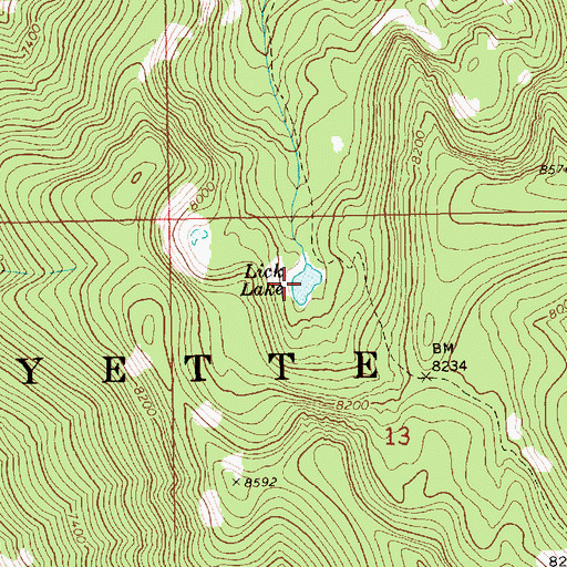 Topographic Map of Lick Lake, ID
