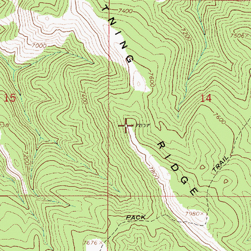 Topographic Map of Lightning Ridge, ID