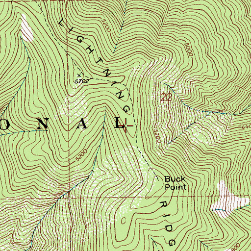 Topographic Map of Lightning Ridge, ID