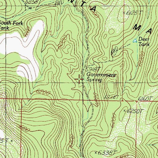 Topographic Map of Government Spring, AZ
