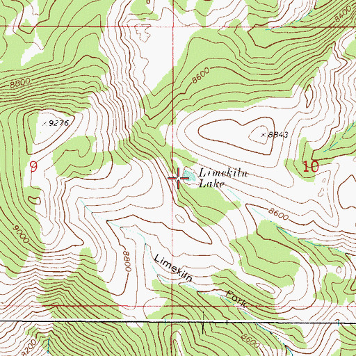Topographic Map of Limekiln Lake, ID