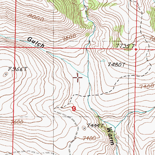 Topographic Map of Limestone Gulch, ID