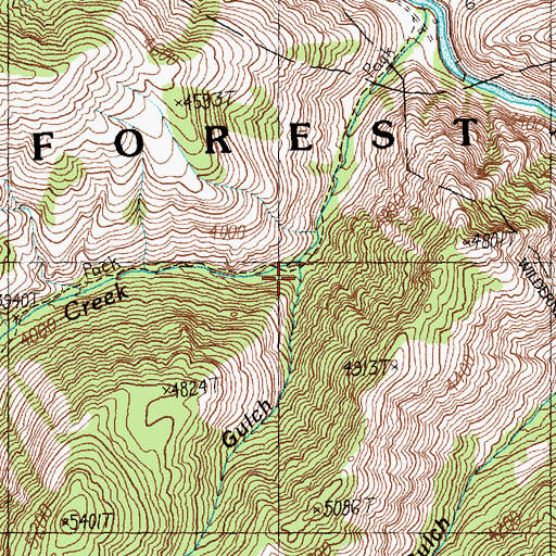 Topographic Map of Line Gulch, ID