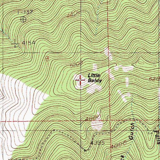 Topographic Map of Little Baldy, ID