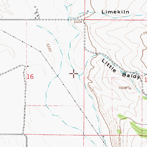 Topographic Map of Little Baldy Canyon, ID