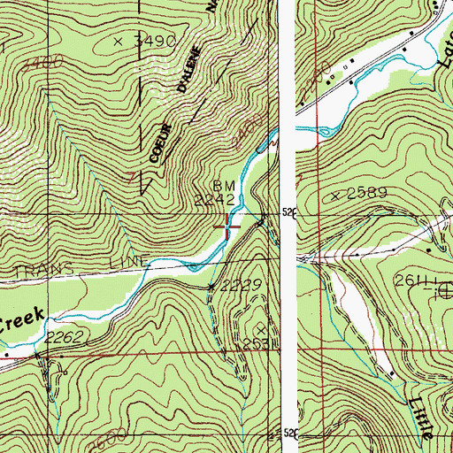 Topographic Map of Little Baldy Creek, ID