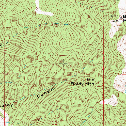 Topographic Map of Little Baldy Mountain, ID