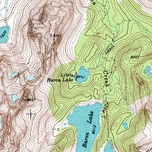 Topographic Map of Little Baron Lake, ID
