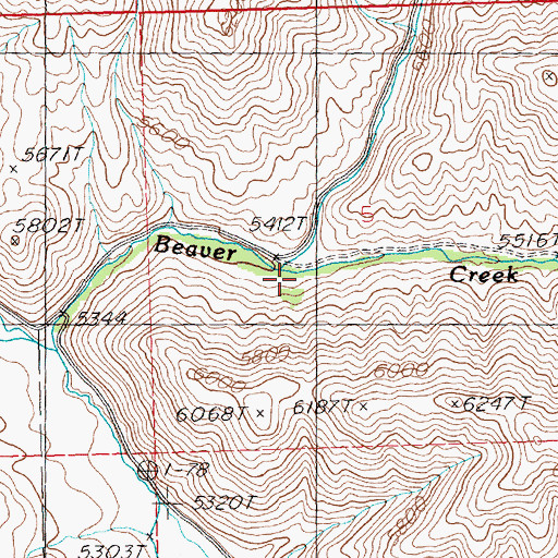 Topographic Map of Little Beaver Creek, ID