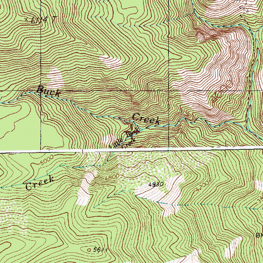 Topographic Map of Little Buck Creek, ID