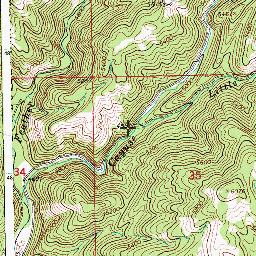 Topographic Map of Little Cayuse Creek, ID