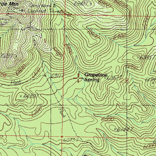 Topographic Map of Grapevine Spring, AZ