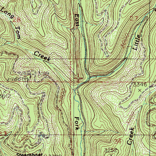 Topographic Map of Little East Fork Steamboat Creek, ID