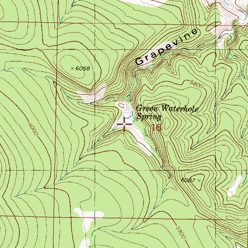 Topographic Map of Green Waterhole Spring, AZ