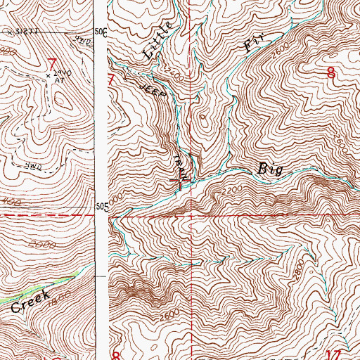 Topographic Map of Little Fir Creek, ID