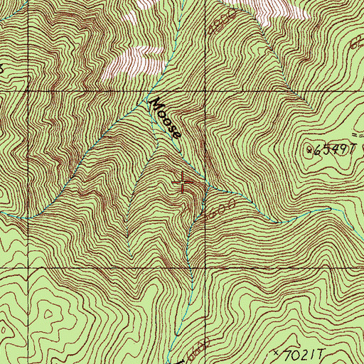 Topographic Map of Little Moose Creek, ID