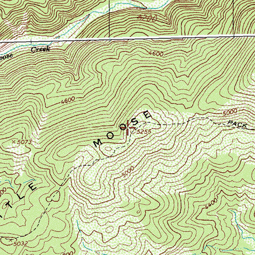 Topographic Map of Little Moose Ridge, ID