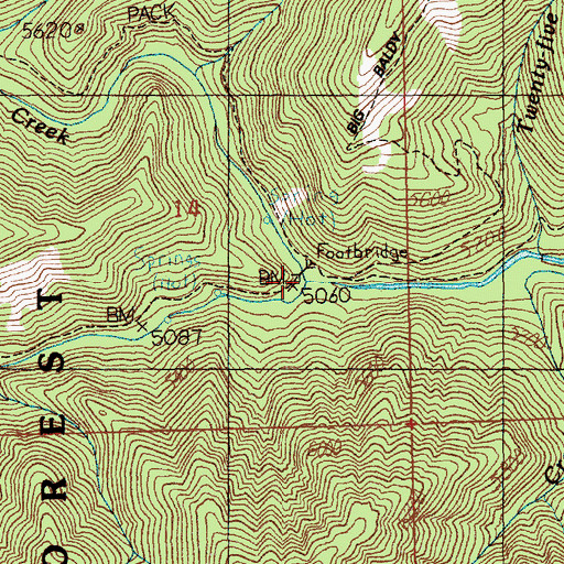 Topographic Map of Little Pistol Creek, ID