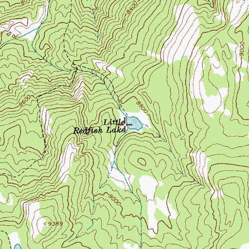 Topographic Map of Little Redfish Lake, ID