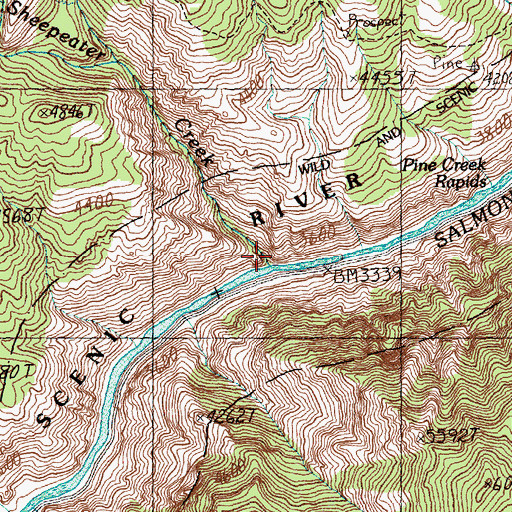Topographic Map of Little Sheepeater Creek, ID