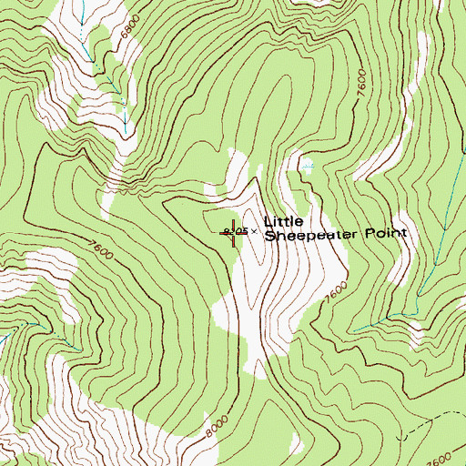Topographic Map of Little Sheepeater Point, ID
