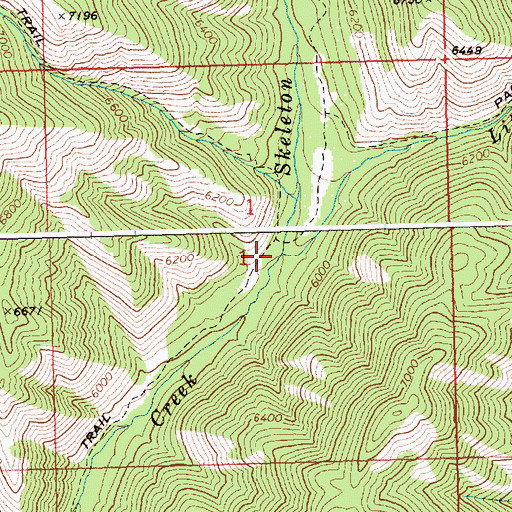 Topographic Map of Little Skeleton Creek, ID
