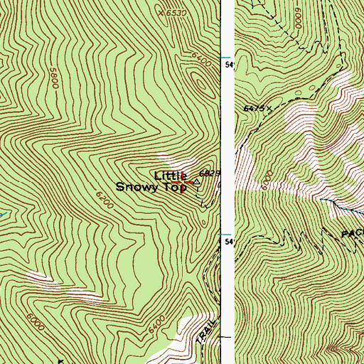 Topographic Map of Little Snowy Top, ID