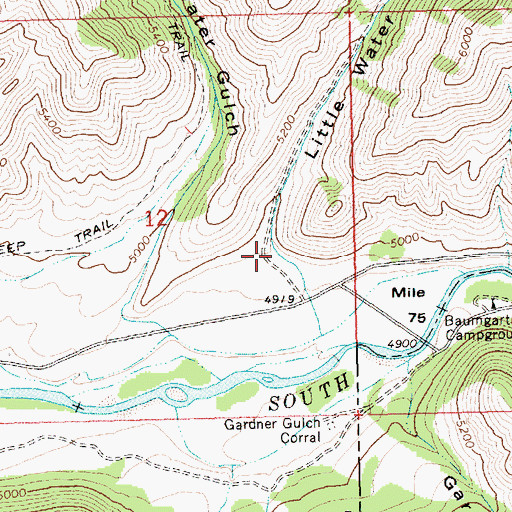 Topographic Map of Little Water Gulch, ID