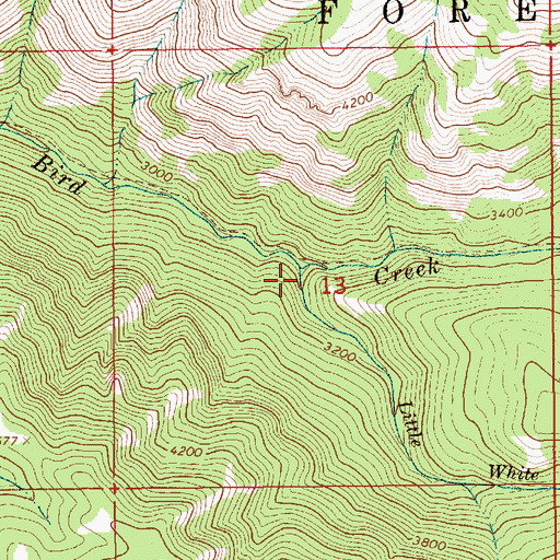 Topographic Map of Little White Bird Creek, ID