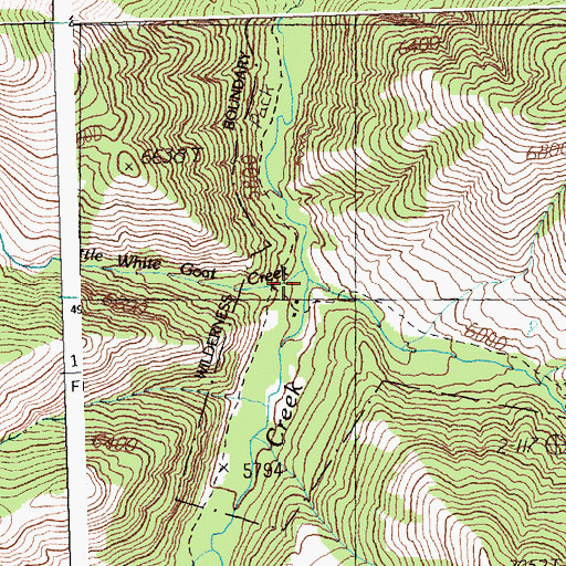 Topographic Map of Little White Goat Creek, ID
