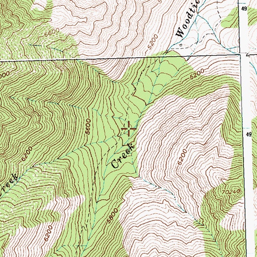 Topographic Map of Little Woodtick Creek, ID