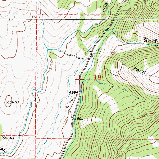 Topographic Map of Litz Creek, ID