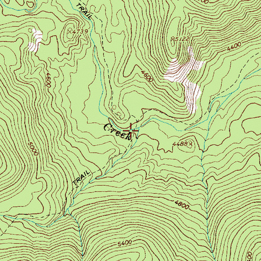 Topographic Map of Lizard Creek, ID