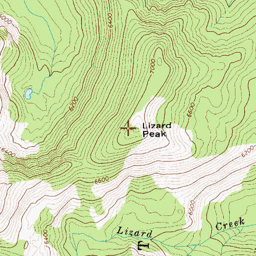 Topographic Map of Lizard Peak, ID