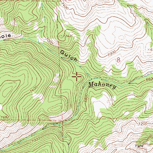 Topographic Map of Lodgepole Gulch, ID