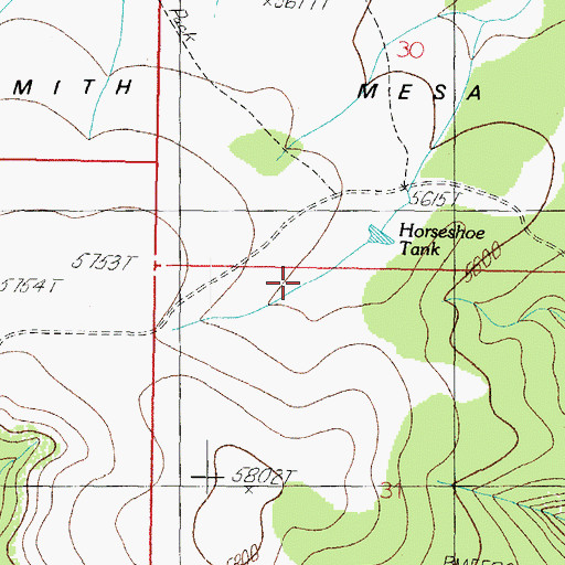 Topographic Map of Horseshoe Tank, AZ