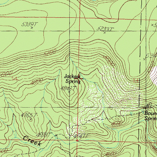 Topographic Map of Jackass Spring, AZ