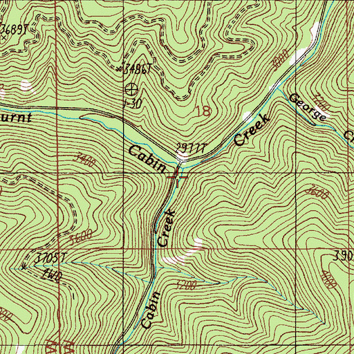 Topographic Map of Lone Cabin Creek, ID