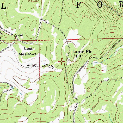 Topographic Map of Lone Fir Hill, ID