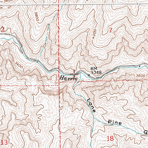 Topographic Map of Lone Pine Gulch, ID