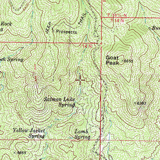 Topographic Map of Manzanita Spring, AZ