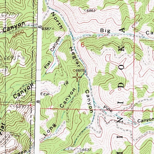 Topographic Map of Long Canyon, ID