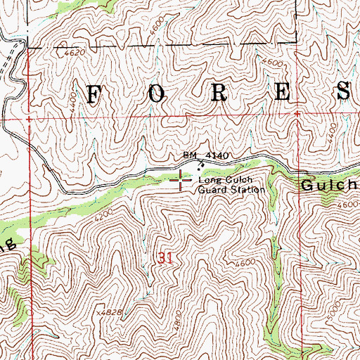 Topographic Map of Long Gulch Guard Station, ID