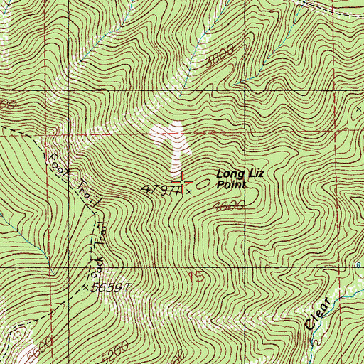 Topographic Map of Long Liz Point, ID